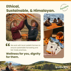 Wellwith Sea Buckthorn Dry Berry | Grocsy