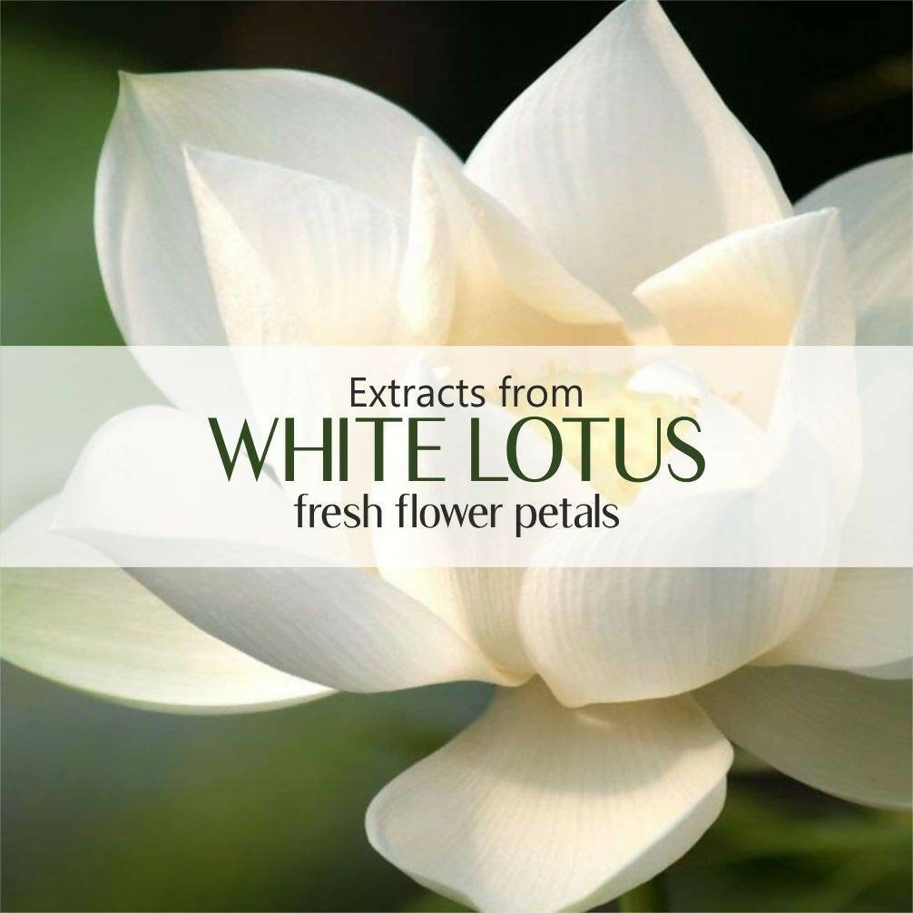 Old Tree White Lotus Essential Oil | Grocsy