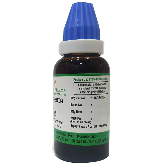 Hering Pharma Gaultheria Mother Tincture Q | Grocsy