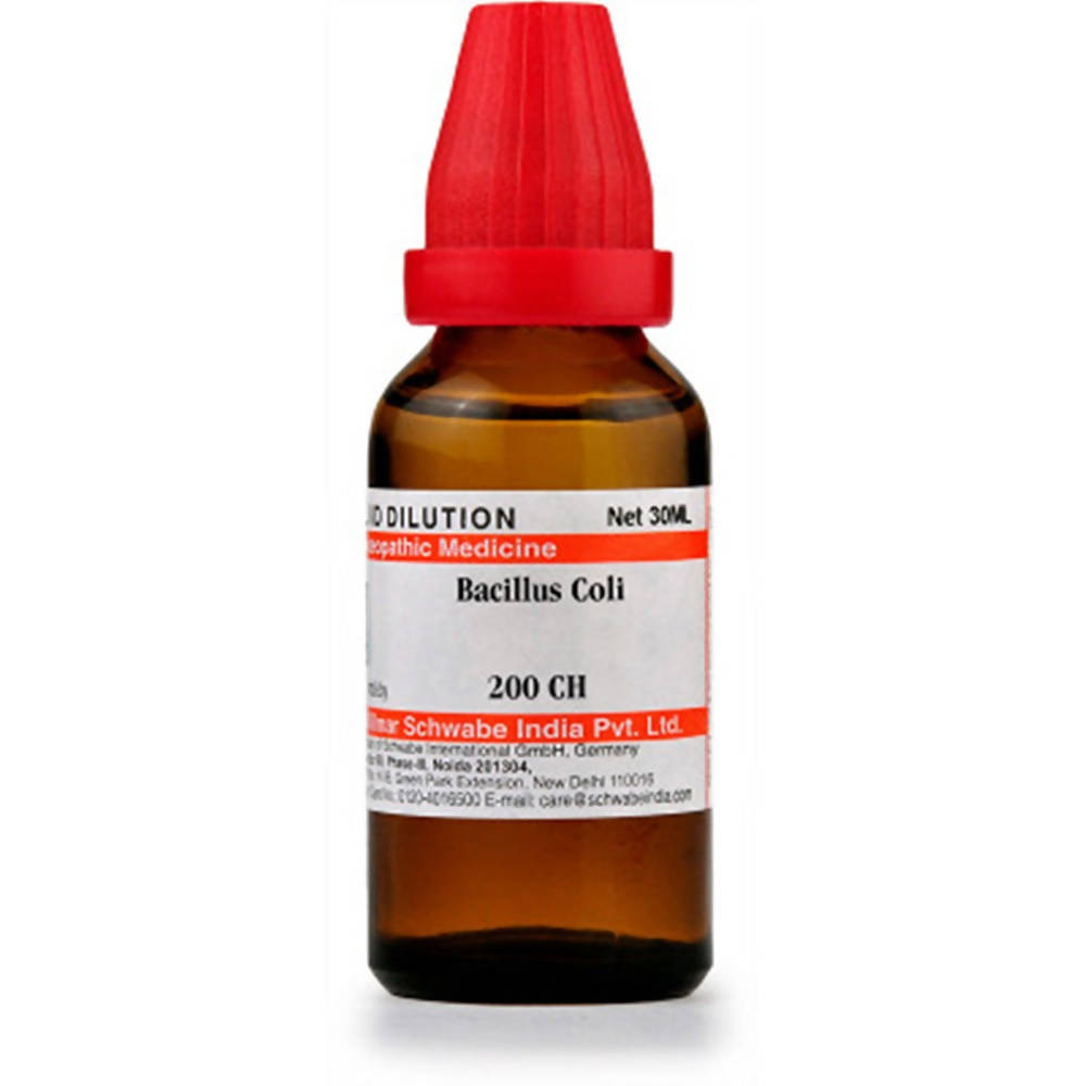 Dr. Willmar Schwabe India Bacillus Coli Dilution | Grocsy