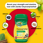 Zandu (Sugar Free) Chyavanprashad - 900 Gm | Grocsy