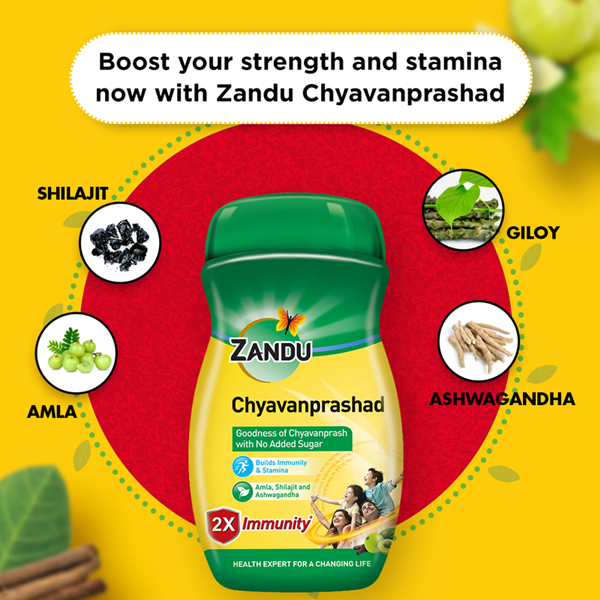 Zandu (Sugar Free) Chyavanprashad - 900 Gm | Grocsy