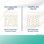 Dove Advanced Sensitive Care Bar With Ceramide And Nutrient Cream | Grocsy