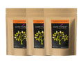 Dark Forest Skin Care Range Combo | Grocsy