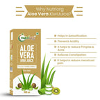 Nutriorg Aloevera Kiwi Juice | Grocsy