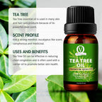 Vital Organics Tea Tree Oil | Grocsy
