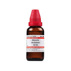 Dr. Willmar Schwabe India Sterculia Acuminata Dilution | Grocsy