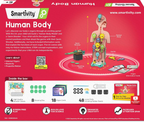 Smartivity Human Body Toy For Kids 6-12 Years Body Organs & Functions | Grocsy