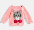 Chutput Kids Pink-Coloured Solid Pullover For Baby Boys with Applique Detail | Grocsy