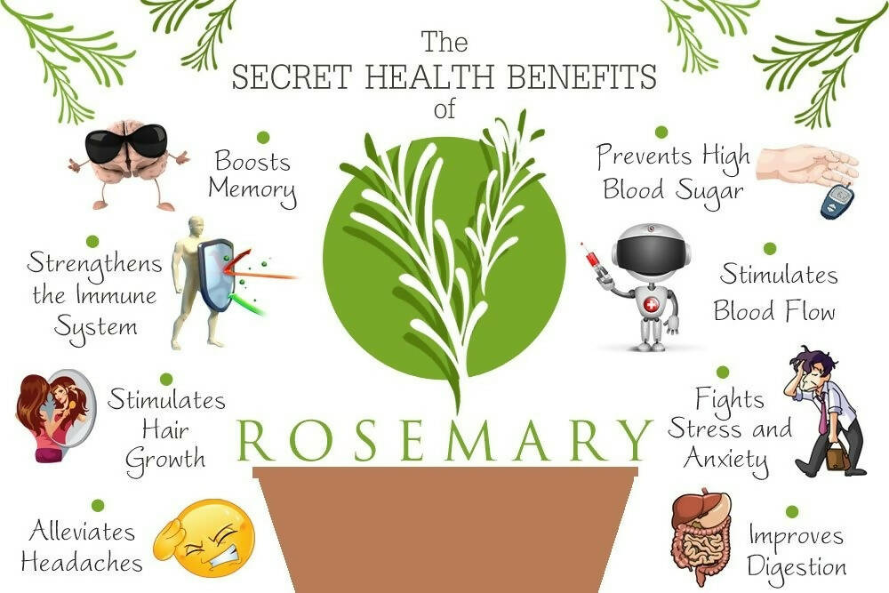 WishCare Rosemary Essential Oil | Grocsy