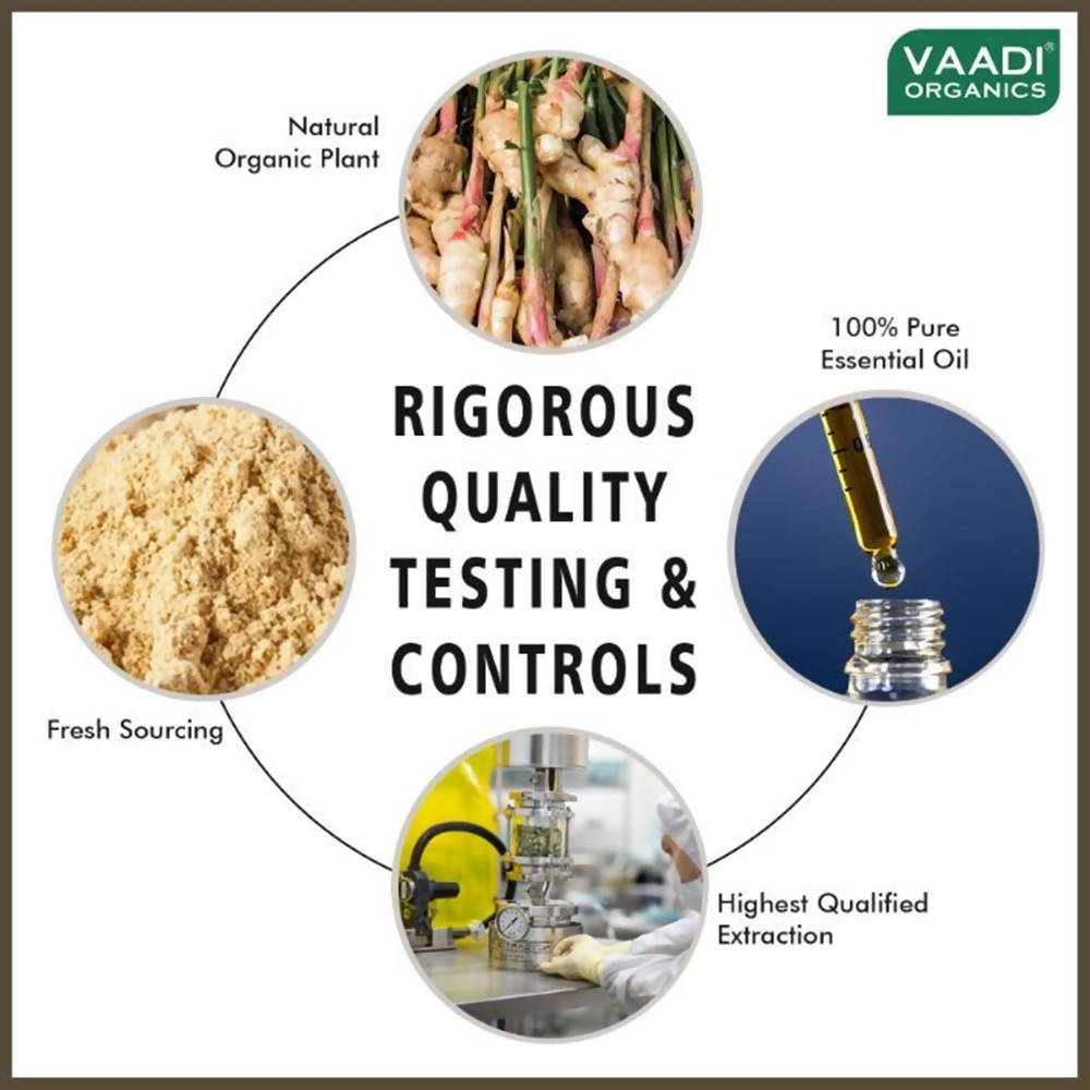 Vaadi Herbals Ginger 100% Pure Essential Oil Therapeutic Grade | Grocsy