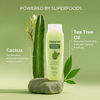 Naturali Dandruff Defence Shampoo With Cactus Extract, Tea Tree Oil & Climbazole | Grocsy