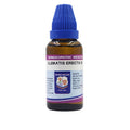 Father Muller Clematis Erecta Dilution | Grocsy