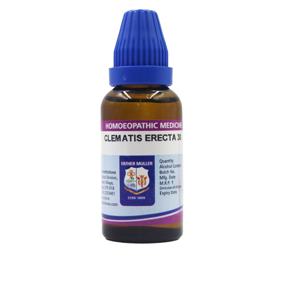 Father Muller Clematis Erecta Dilution | Grocsy