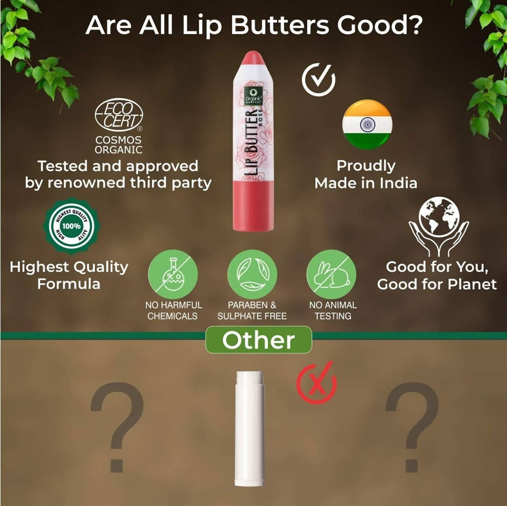 Organic Harvest Lip Butter (Rose) | Grocsy