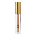Lakme 9 To 5 Hya Matte Liquid Concealer - Cinnamon | Grocsy