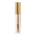 Lakme 9 To 5 Hya Matte Liquid Concealer - Cinnamon | Grocsy