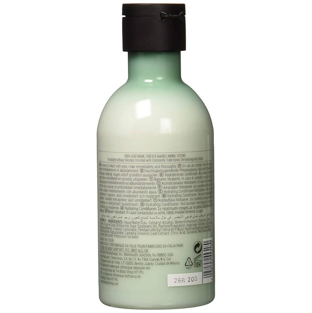 The Body Shop Fuji Green Tea Refreshingly Hydrating Conditioner | Grocsy