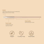 Milagro Beauty Firm Blending Brush 67 | Grocsy