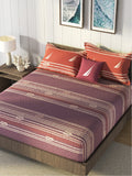 Nautica Purple & Orange Striped Cotton 160 TC King Bedsheet With 2 Pillow Covers | Grocsy