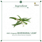 Khadi Natural Bhringraj Leaf Powder | Grocsy