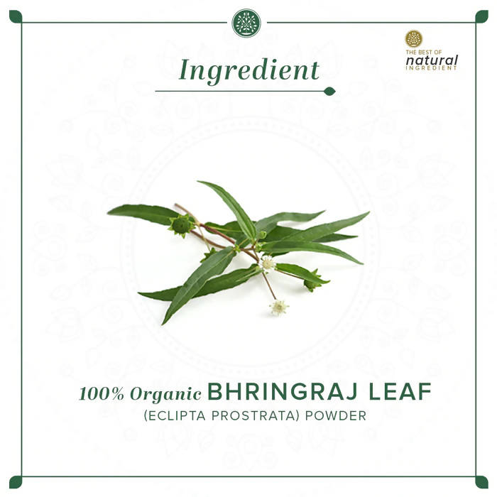 Khadi Natural Bhringraj Leaf Powder | Grocsy