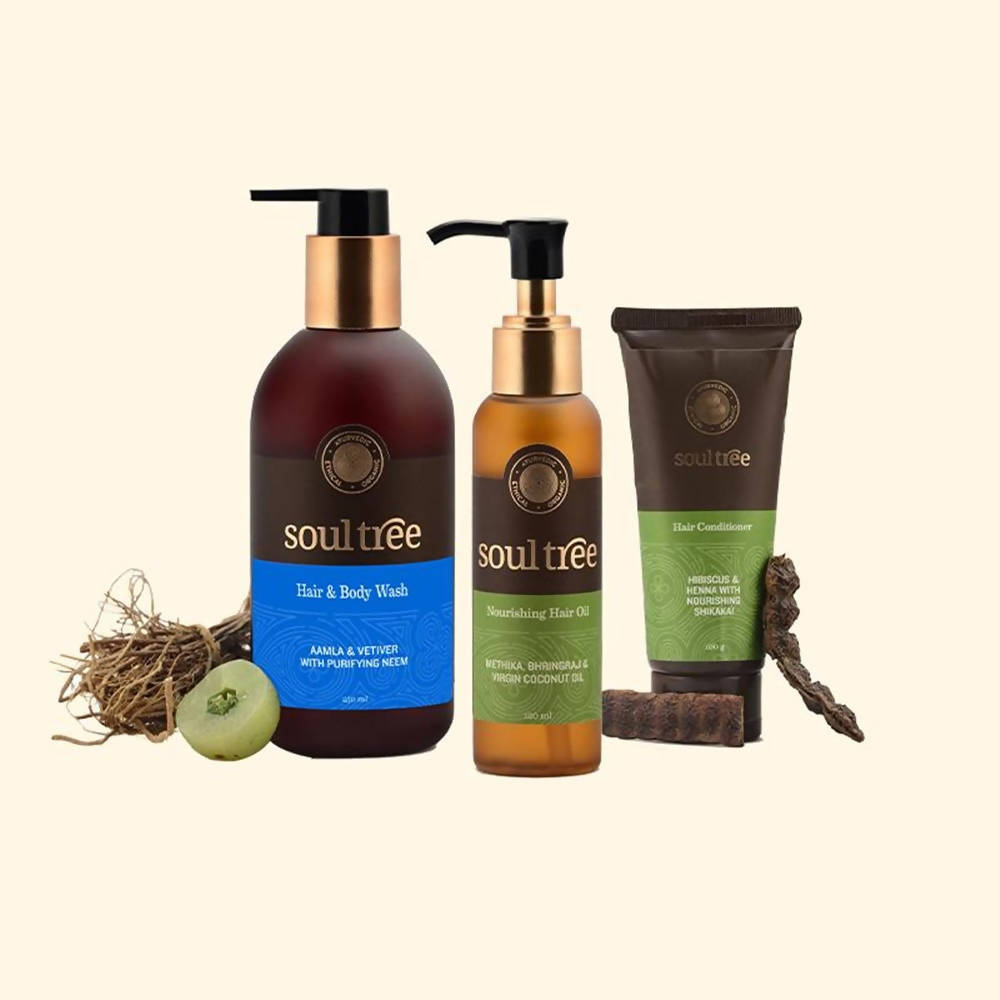 Soultree 3-Step Hair Care Regimen For Men | Grocsy