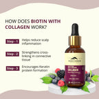 Rasayanam Liquid Biotin & Collagen for Hair Growth | Grocsy