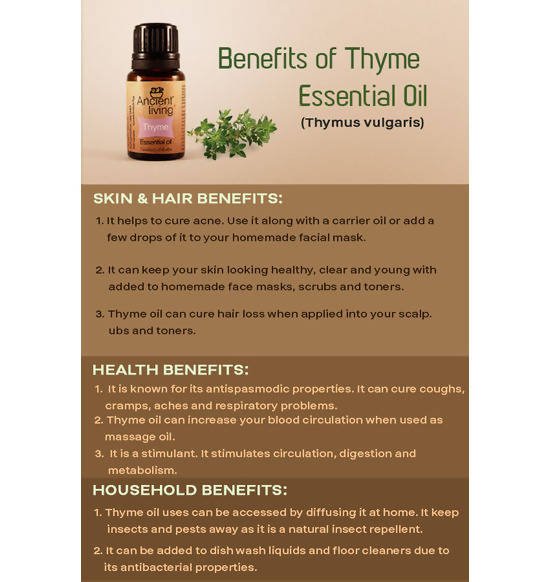 Ancient Living Thyme Essential Oil | Grocsy