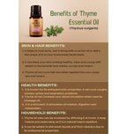 Ancient Living Thyme Essential Oil | Grocsy