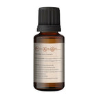 Korus Essential Hazelnut Essential Oil - Therapeutic Grade | Grocsy