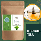 Satvi Wellness Mint Tea | Pudina Tea Bags | Grocsy