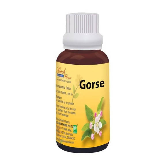 Bio India Homeopathy Bach Flower Gorse Dilution | Grocsy