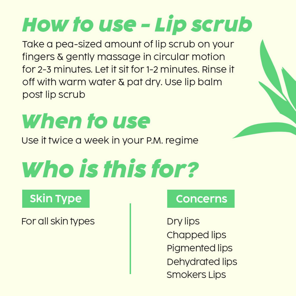 PLIX The Plant Fix Pomegranate Plump Lips, Puddin Mask & Scrub With Peeling Potion | Grocsy