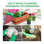 Scotch-Brite Aloe Vera coated Gloves - L | Grocsy