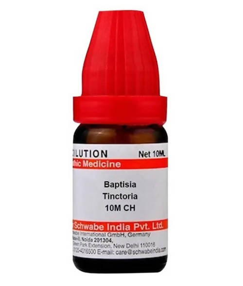 Dr. Willmar Schwabe India Baptisia Tinctoria Dilution | Grocsy