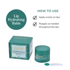 Perenne Lip Hydrating Balm With Hyaluronic Acid & SPF 30 - Mint Choco | Grocsy