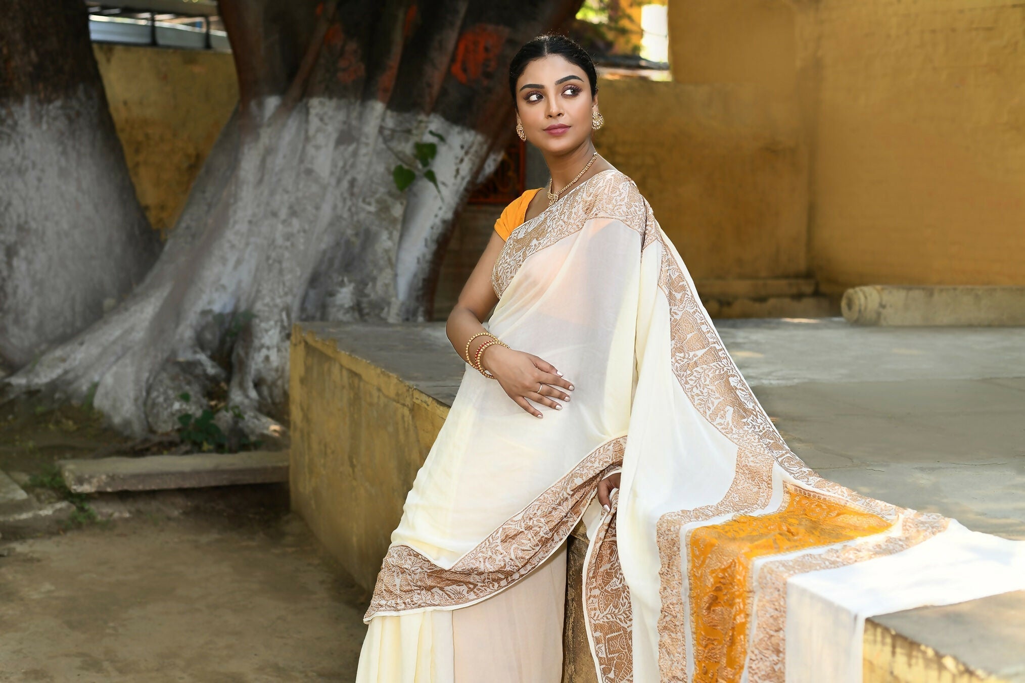 Joban Fashion Cream Crepe Chiffon Pure Handloom Banarasi Silk Saree | Grocsy