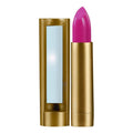 Shahnaz Husain Wild Rose-Shade-61 Lipstick | Grocsy