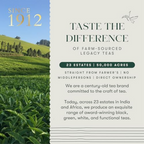 Luxmi Estates Vanilla Rooibos Chai Herbal Infusion | Grocsy