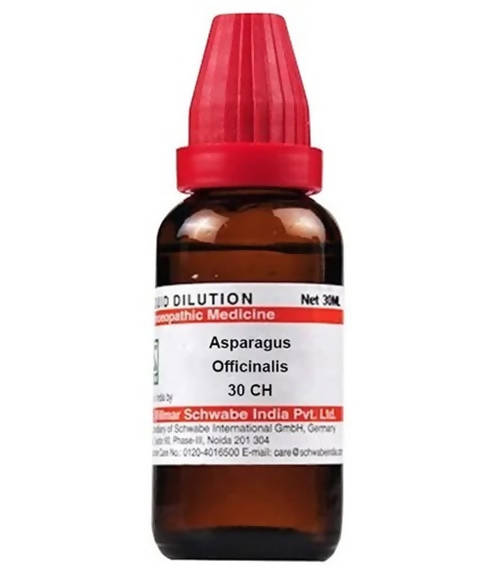 Dr. Willmar Schwabe India Asparagus Officinalis Dilution | Grocsy