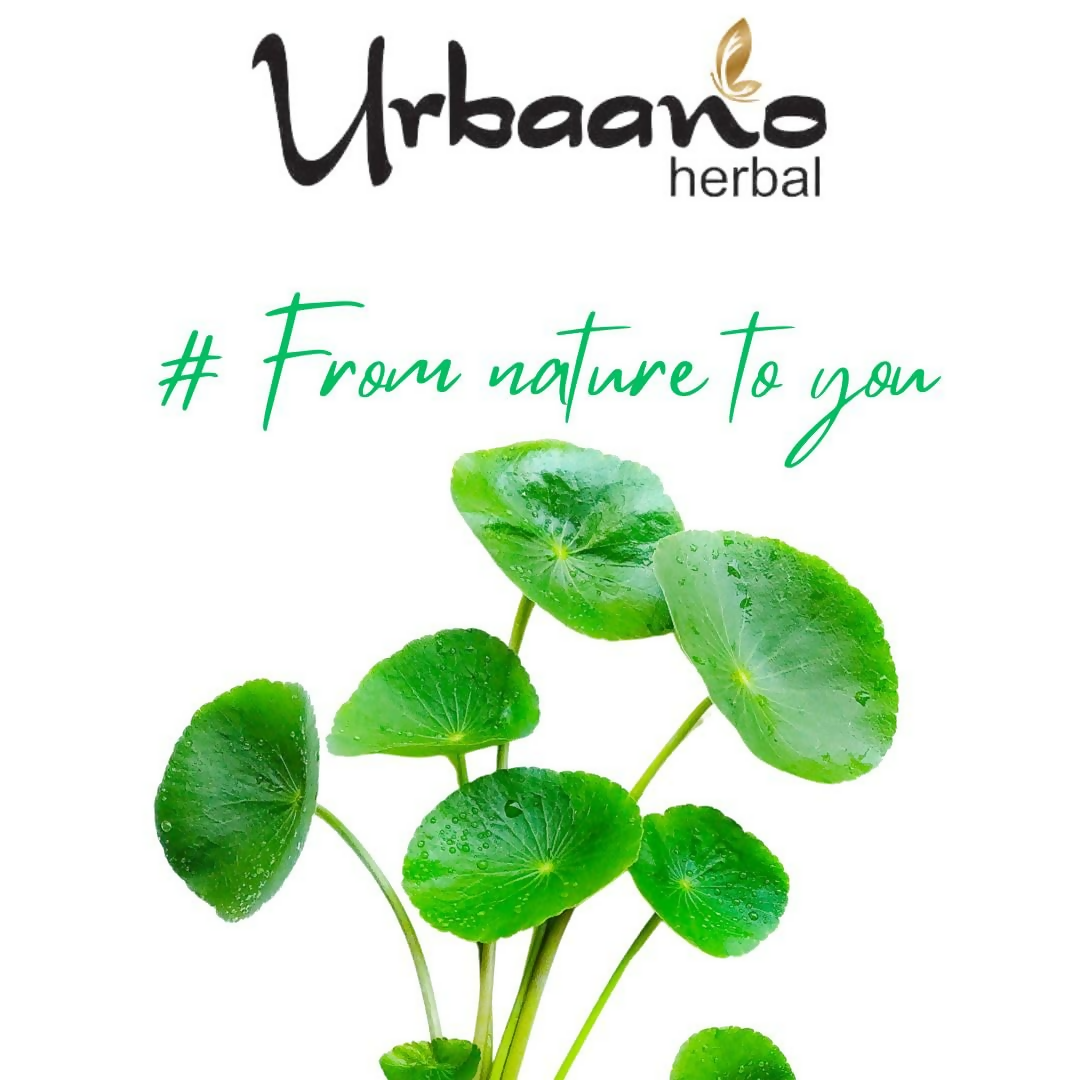 Urbaano Herbal Gotukola Extract Natural For Skin & Hair Care Products | Grocsy