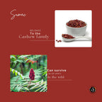 Organic AyurveGrocsyn Sumac Powder | Grocsy