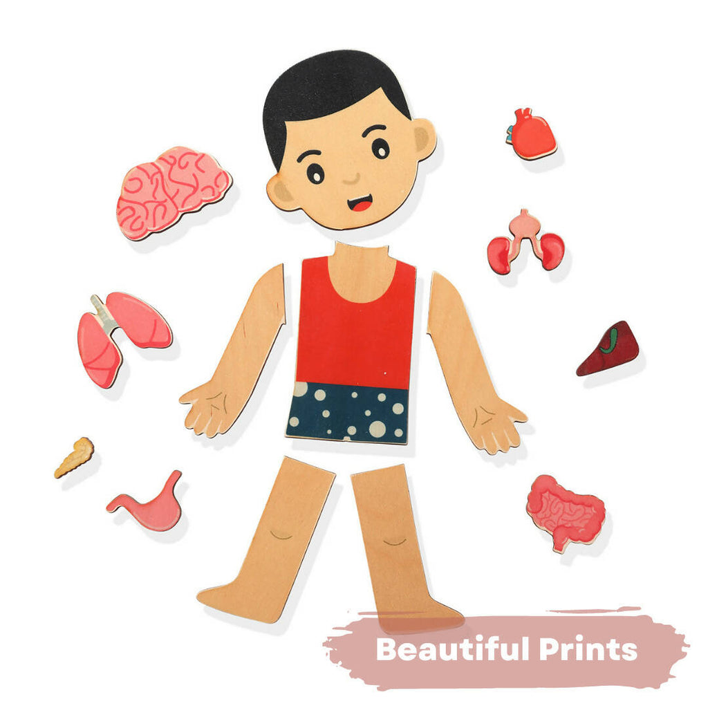 Nesta Toys Human Body | Internal Organs Wooden Puzzle | Grocsy