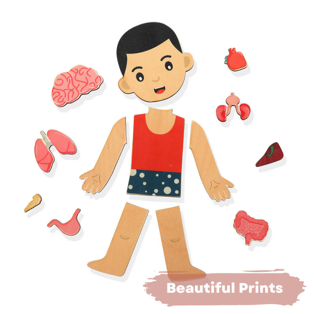 Nesta Toys Human Body | Internal Organs Wooden Puzzle | Grocsy