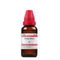 Dr. Willmar Schwabe India Ginkgo Biloba Mother Tincture Q | Grocsy