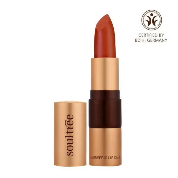 Soultree Ayurvedic Lipstick True Brick 813 | Grocsy