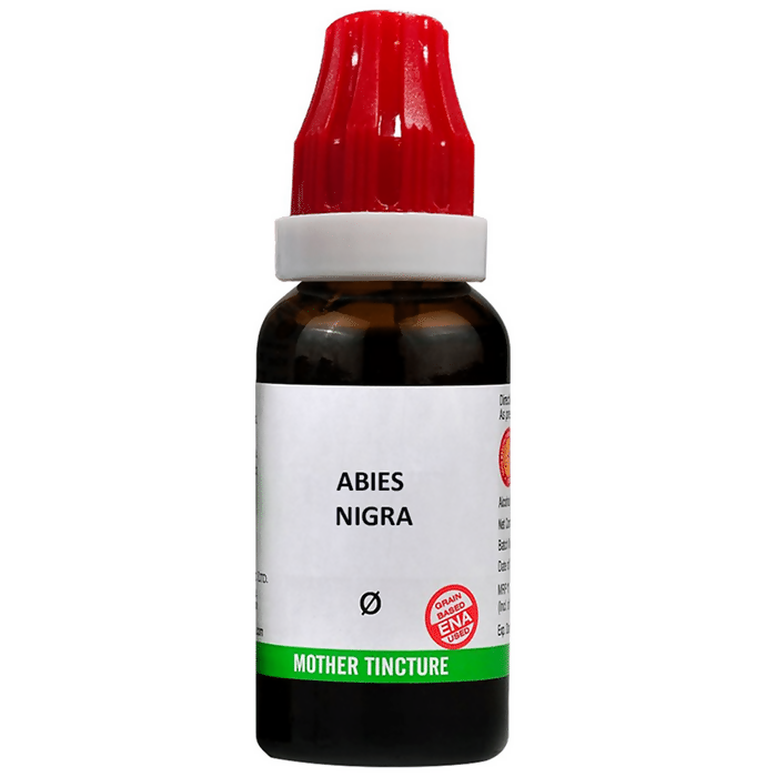 Bjain Homeopathy Abies Nigra Mother Tincture Q | Grocsy
