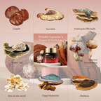 The Skin House Wrinkle Supreme Cream | Grocsy