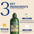 L'Occitane Volume & Strength Conditioner | Grocsy
